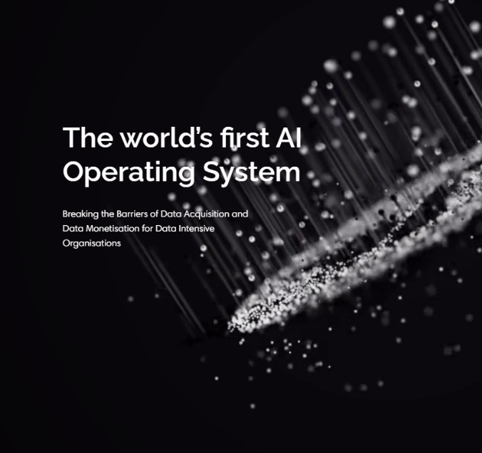 Blackswan Technologies client engagement