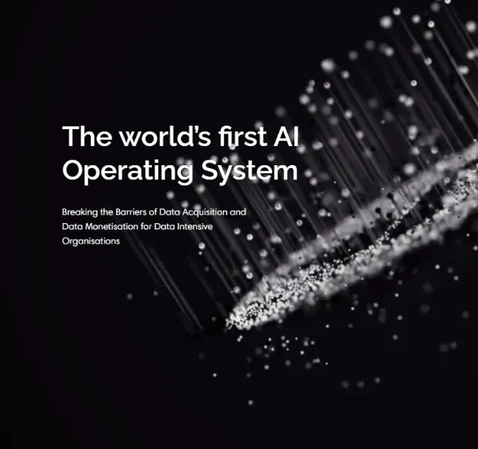 Blackswan Technologies client engagement