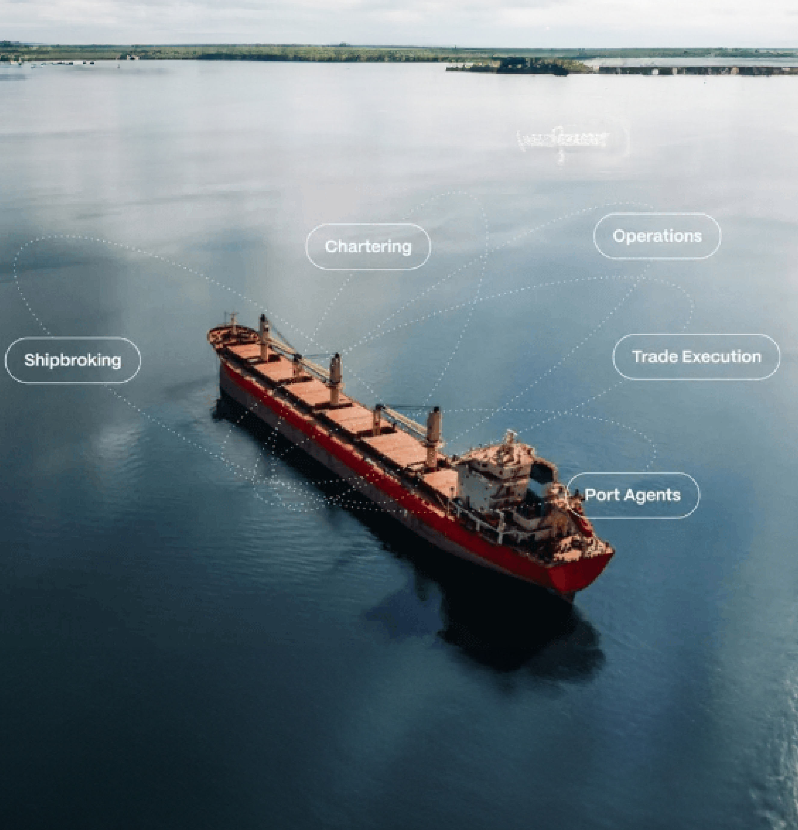 Sedna Systems client engagement